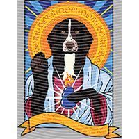 Animal Integration-DW 1138